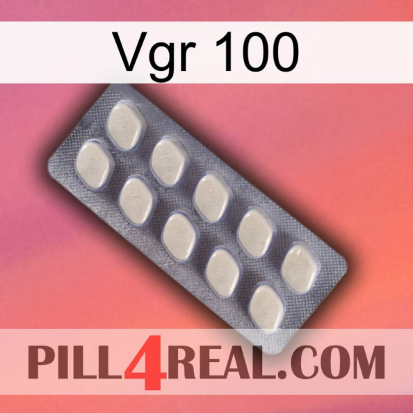 Vgr 100 08.jpg